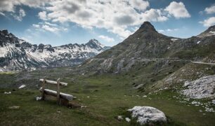NP Dormitor