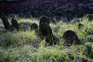 _S253004 _S253004