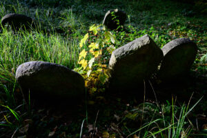 _S253006 _S253006