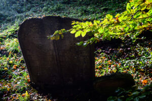 _S253011 _S253011