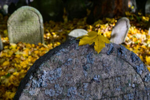 _S253042 _S253042