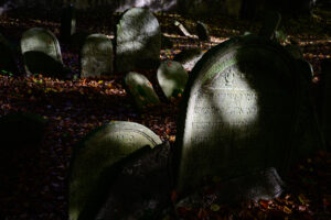 _S253069 _S253069
