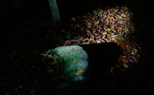 _S253076 _S253076