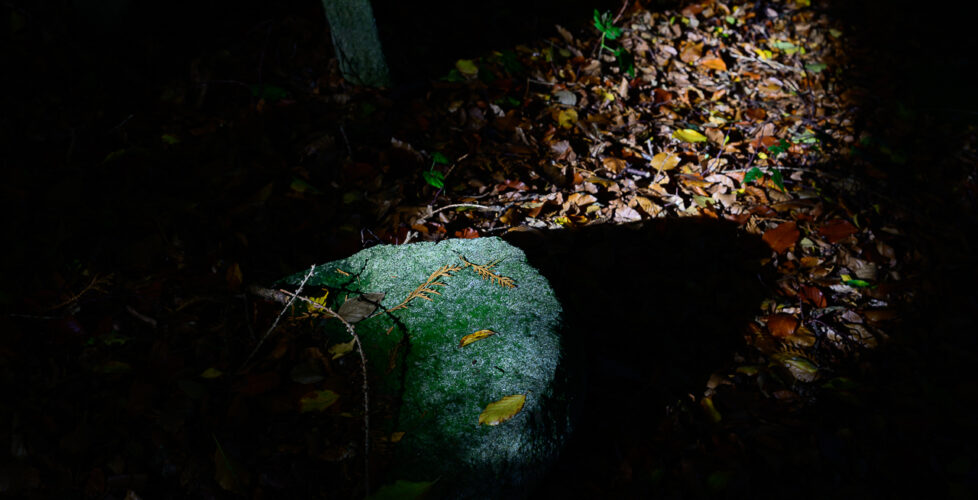 _S253076 _S253076