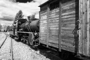L1031854 L1031854