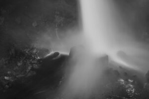_S184598