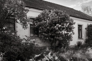 L1032137-2