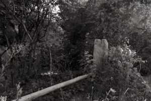 L1032139-2